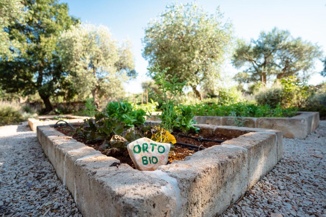 Trulli Ad Maiora Villa Alberobello Ngoại thất bức ảnh