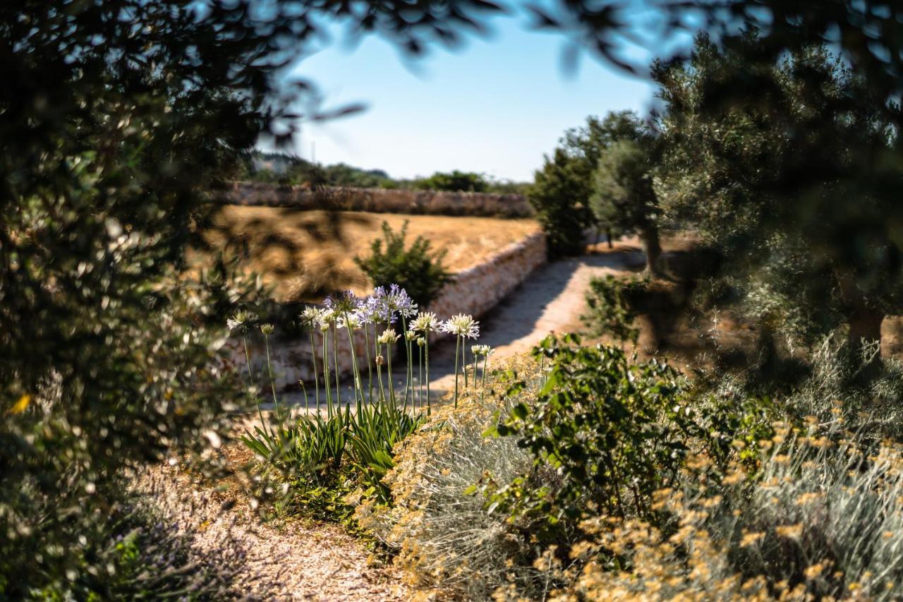 Trulli Ad Maiora Villa Alberobello Ngoại thất bức ảnh